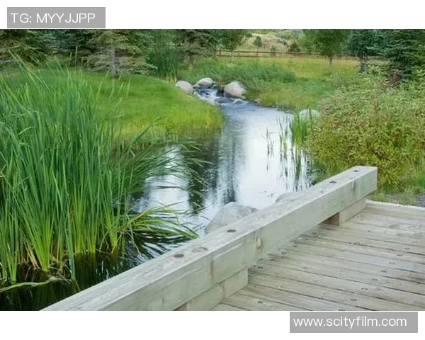 乌栖沙岩与清水的对决探讨自然景观与生态保护的平衡之道